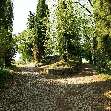 Residenza Fondo Ulivi *